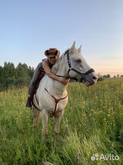 Катание на лошадях