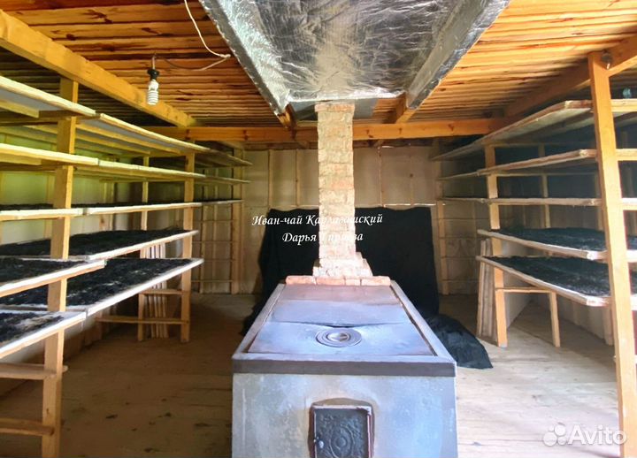 Иван-чай крупнолистовой с таёжными дикоросами