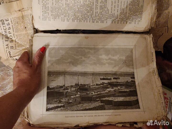 Родина 1891 г