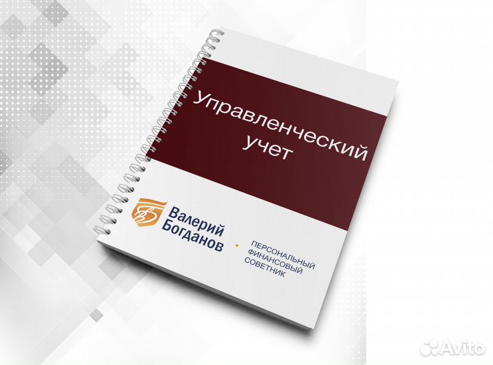 Финансовый учет Внедрение Аудит