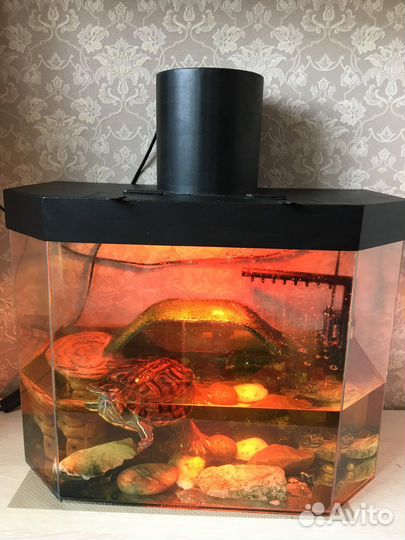 Аквариум 50л