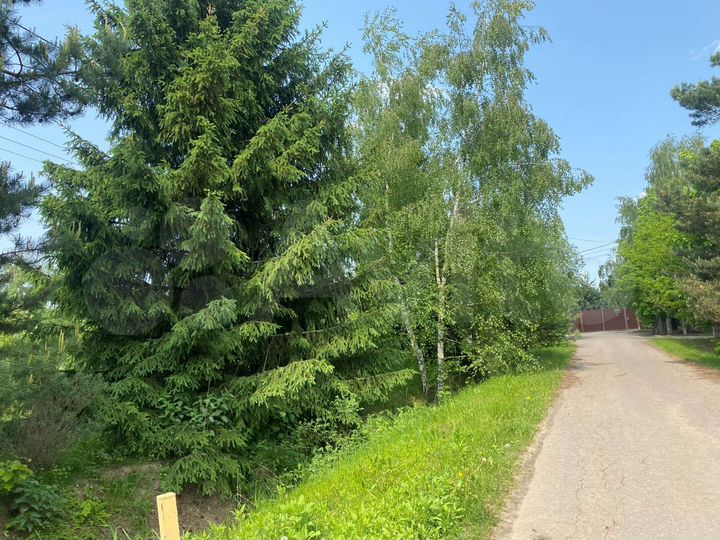 Участок 8 сот. (ИЖС)