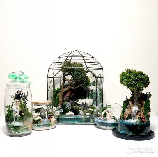 Флорариумы (моссариумы) из мхов как подарок