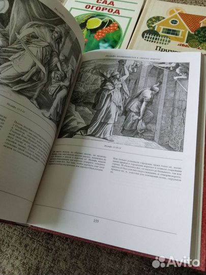 Библия в иллюстрациях