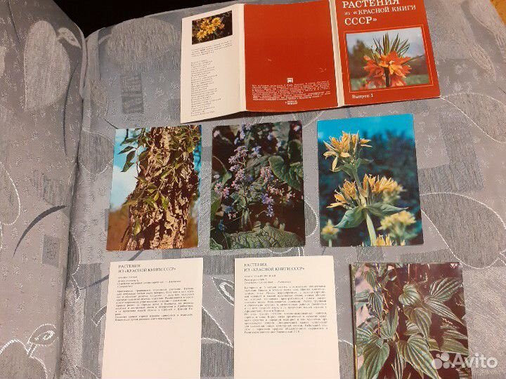 Коллекционные наборы открыток времен СССР