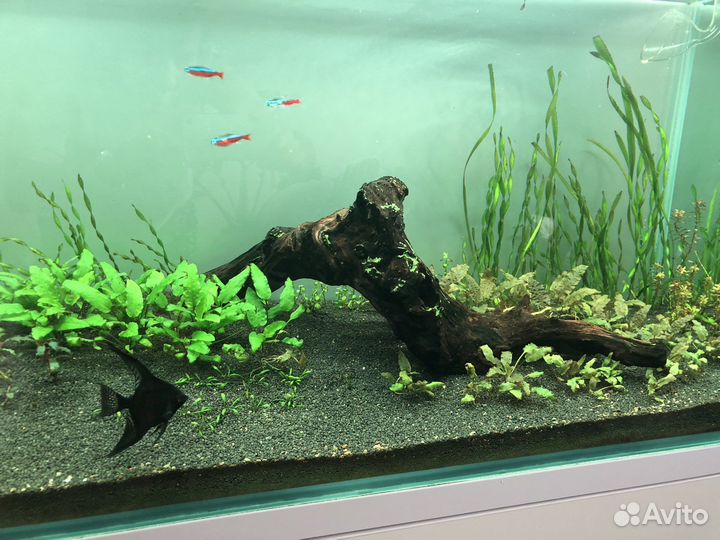 Аквариум