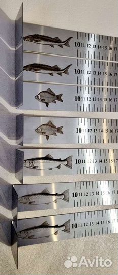 Линейка для измерения рыбы 70см