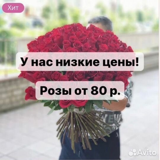 Хризантема Ромашка Доставка цветов
