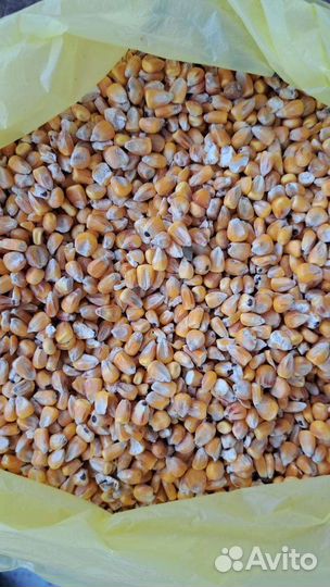 Зерно в мешках