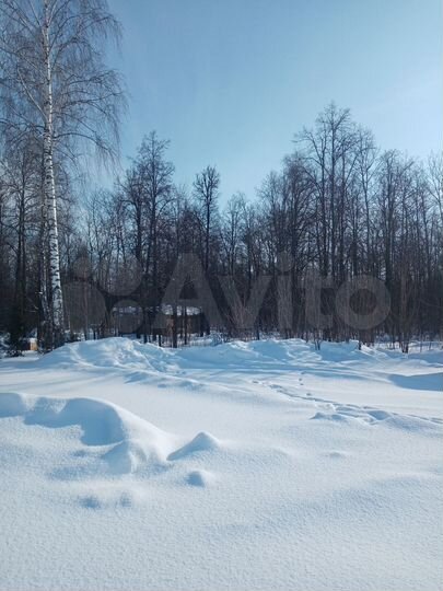 Участок 50 сот. (ИЖС)