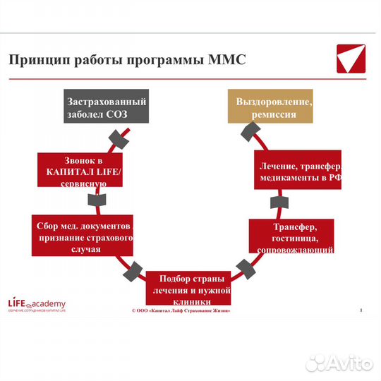 Медицинская прграмма направленная на лечение
