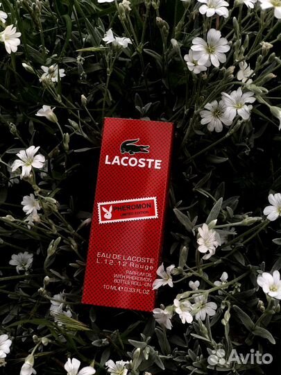 Lacoste Масляные духи (миск) eau DE Lacoste L12.12