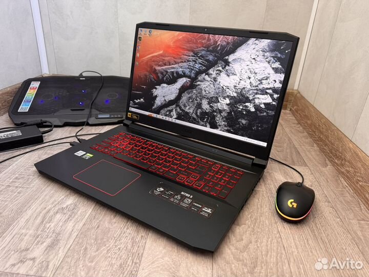 Acer Nitro 5 (17.3/i7-10th/RTX3050/16Gb/NVMe 512)