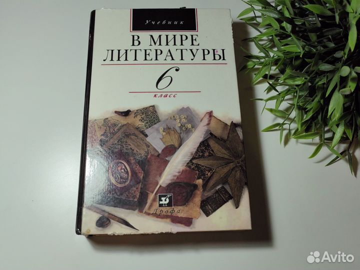 Учебник В мире литературы 6 класс 1997