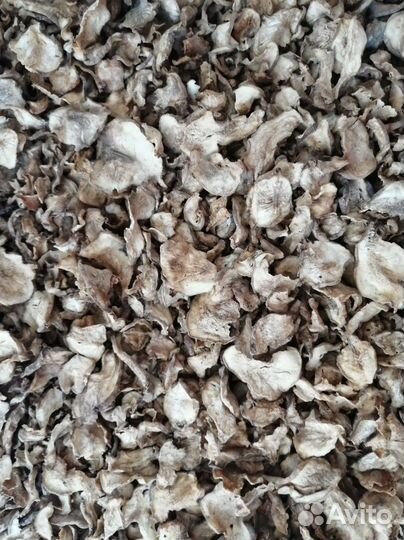 Топинамбур сушеный (земляная груша) - 50гр