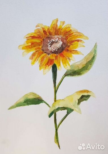 Картина. Акварель. Подсолнух. Цветы