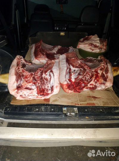 Мясо свинина