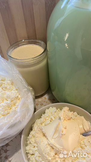 Молоко коровье