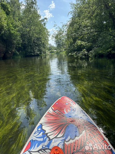 Прокат аренда supboard в Сиверский по оредеж