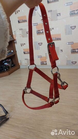 Вещи для конного спорта