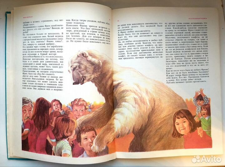 Фрам полярный медведь