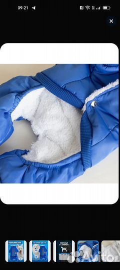 Комбинезон для собак, утепленный