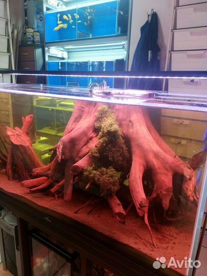 Аквариумист в Зоомагазин