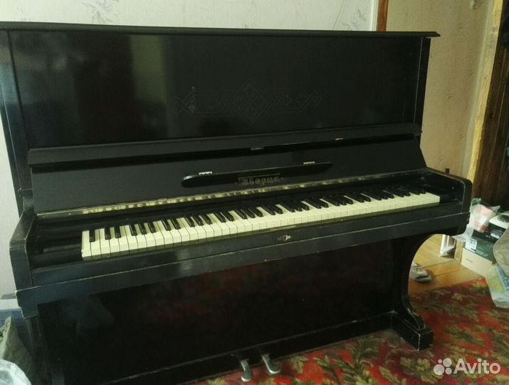В Твери пытаются спасти старинное пианино, не нашедшее достойного хозяина