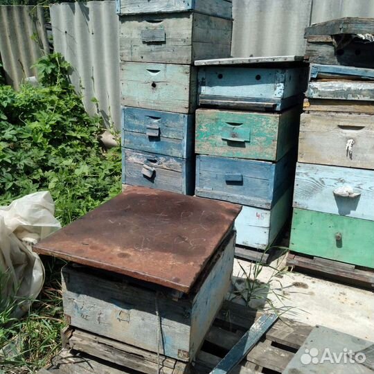 Ульи рут б/у, сушь, рамки медовые и полумедные