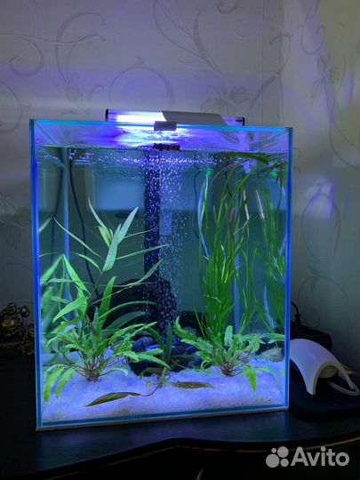 Аквариум Aquael 50 литров, куб