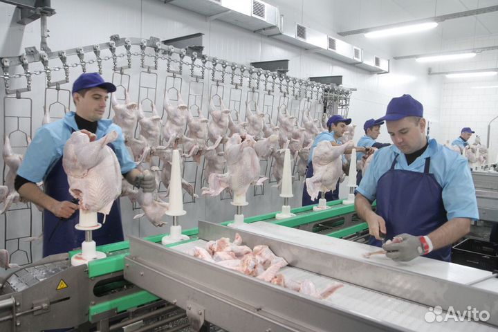 Оператор линии - вахта в Нижегородской области