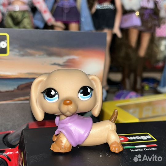 Жилетка littlest pet shop