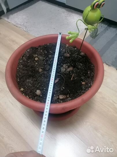 Горшки под домашние растение