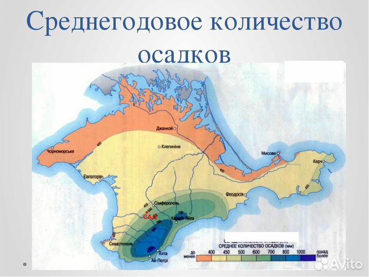 Молодой плодоносящий персиковый сад в Крыму 8 га