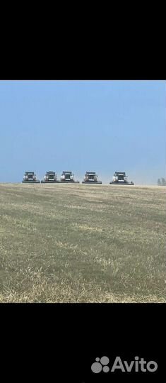 Уборка подсолнечника 2023