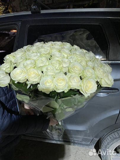 51 роза с доставкой по Крыму