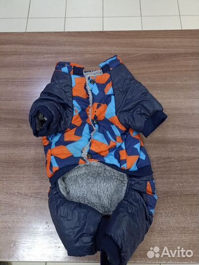 Одежда для собак мелких пород зима