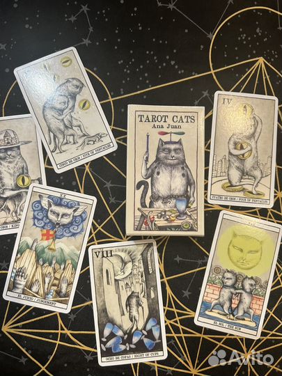 Новые карты таро tarot cats