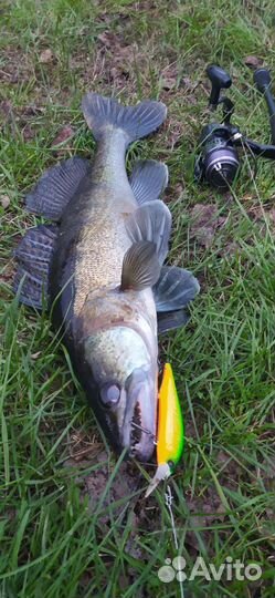 Самые уловистые воблеры от bearking