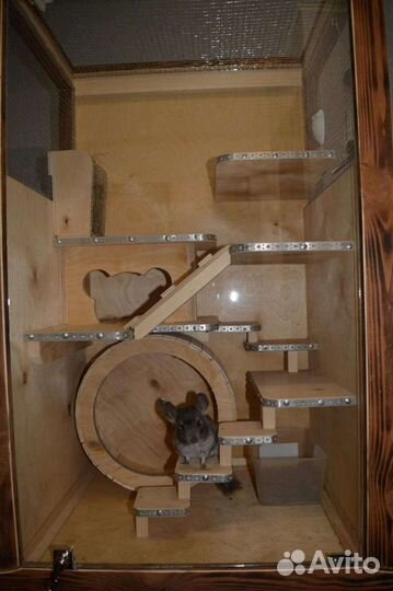 Витрина для шиншилл