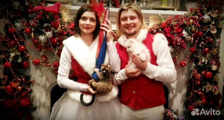 Новогодние аниматоры, шоу, квесты в Москве и мо