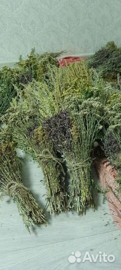 Травяные веники для бани