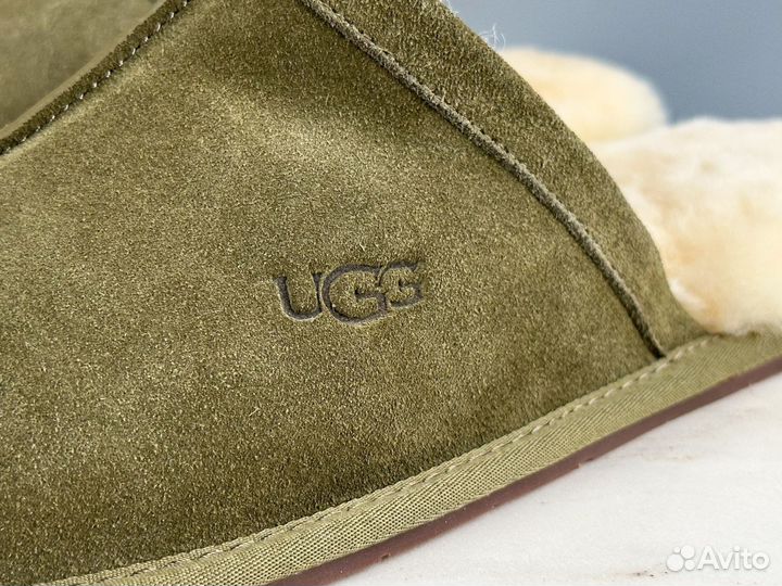 Тапочки мужские UGG Scuff Slipper Burnt Olive