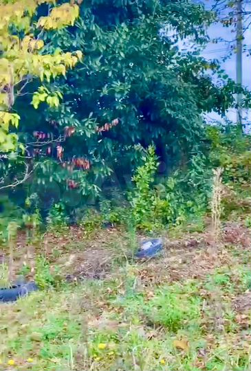 Участок 25 сот. (ИЖС)