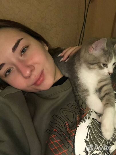 Репетитор по математике до 8 классов