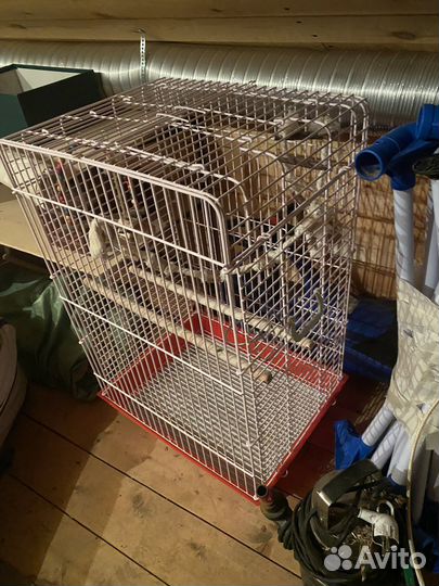 Клетка для птиц Petmax