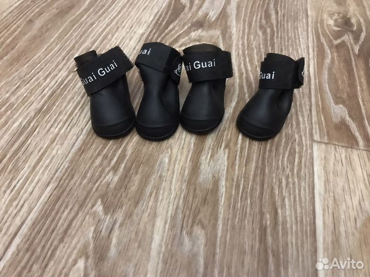 Одежда для собак