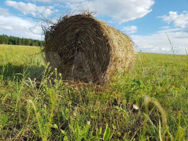 Участок 60 га (СНТ, ДНП)