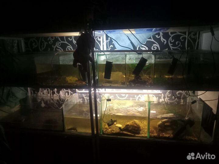 Аквариум