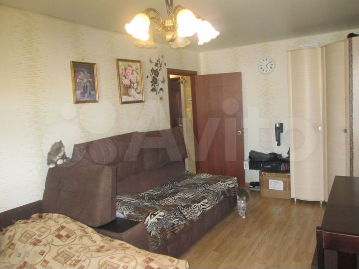 1-к. квартира, 33,6 м², 8/9 эт.